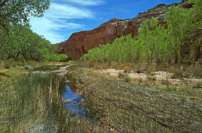 1996-04 Utah Trip 75 Horse Shoe Canyon.jpg